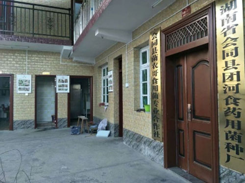 湖南創(chuàng)蕈農(nóng)業(yè)科技有限公司,懷化食用菌種植銷售,懷化羊肚菌種植銷售,懷化赤松茸種植銷售 湖南創(chuàng)蕈農(nóng)業(yè)科技有限公司,懷化食用菌種植銷售,懷化羊肚菌種植銷售,懷化赤松茸種植銷售