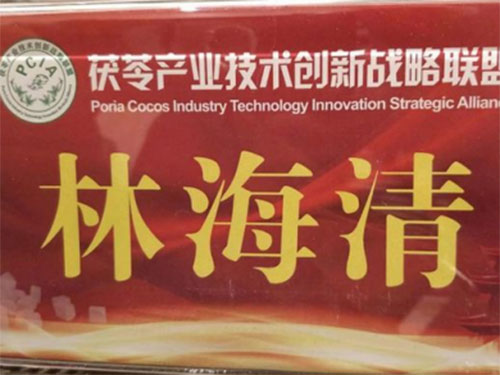 湖南創(chuàng)蕈農(nóng)業(yè)科技有限公司,懷化食用菌種植銷售,懷化羊肚菌種植銷售,懷化赤松茸種植銷售 湖南創(chuàng)蕈農(nóng)業(yè)科技有限公司,懷化食用菌種植銷售,懷化羊肚菌種植銷售,懷化赤松茸種植銷售