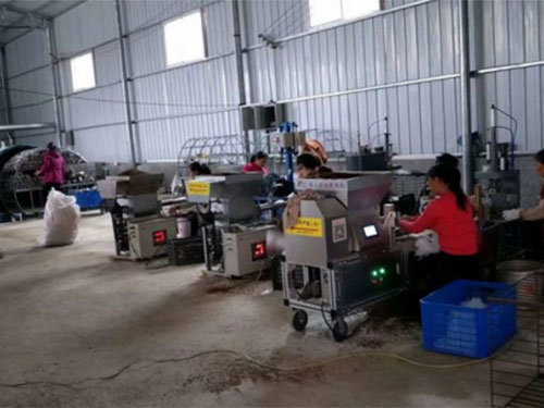 湖南創(chuàng)蕈農(nóng)業(yè)科技有限公司,懷化食用菌種植銷售,懷化羊肚菌種植銷售,懷化赤松茸種植銷售 湖南創(chuàng)蕈農(nóng)業(yè)科技有限公司,懷化食用菌種植銷售,懷化羊肚菌種植銷售,懷化赤松茸種植銷售