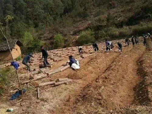 湖南創(chuàng)蕈農(nóng)業(yè)科技有限公司,懷化食用菌種植銷售,懷化羊肚菌種植銷售,懷化赤松茸種植銷售 湖南創(chuàng)蕈農(nóng)業(yè)科技有限公司,懷化食用菌種植銷售,懷化羊肚菌種植銷售,懷化赤松茸種植銷售