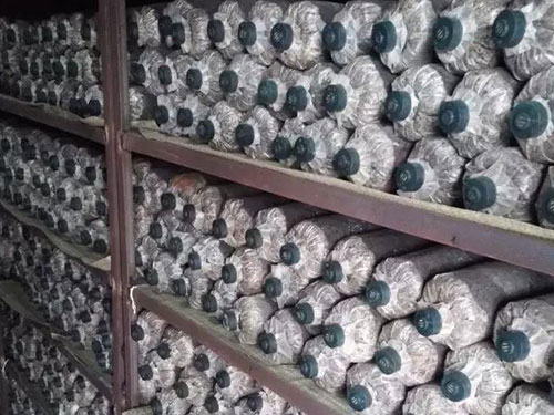 湖南創(chuàng)蕈農(nóng)業(yè)科技有限公司,懷化食用菌種植銷售,懷化羊肚菌種植銷售,懷化赤松茸種植銷售 湖南創(chuàng)蕈農(nóng)業(yè)科技有限公司,懷化食用菌種植銷售,懷化羊肚菌種植銷售,懷化赤松茸種植銷售