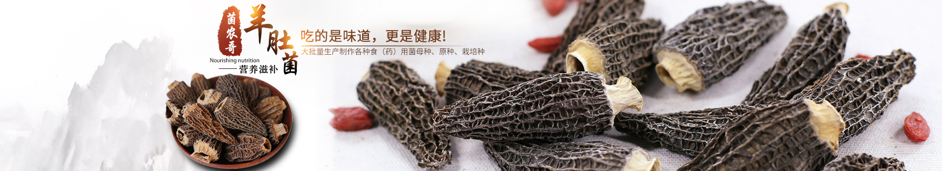 湖南創(chuàng)蕈農(nóng)業(yè)科技有限公司_懷化食用菌種植銷售|懷化羊肚菌種植銷售|懷化赤松茸種植銷售 湖南創(chuàng)蕈農(nóng)業(yè)科技有限公司_懷化食用菌種植銷售|懷化羊肚菌種植銷售|懷化赤松茸種植銷售